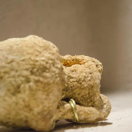 Elafusa Luxury Rhodes City