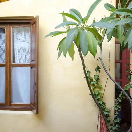 Apartament Elafusa Luxury